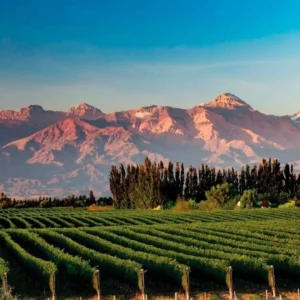 Viaje a Mendoza