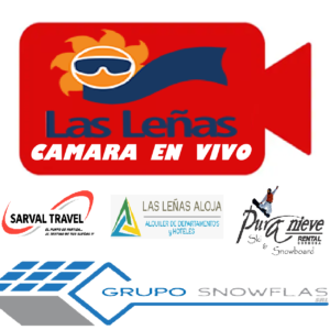LLS ver cámara en vivo